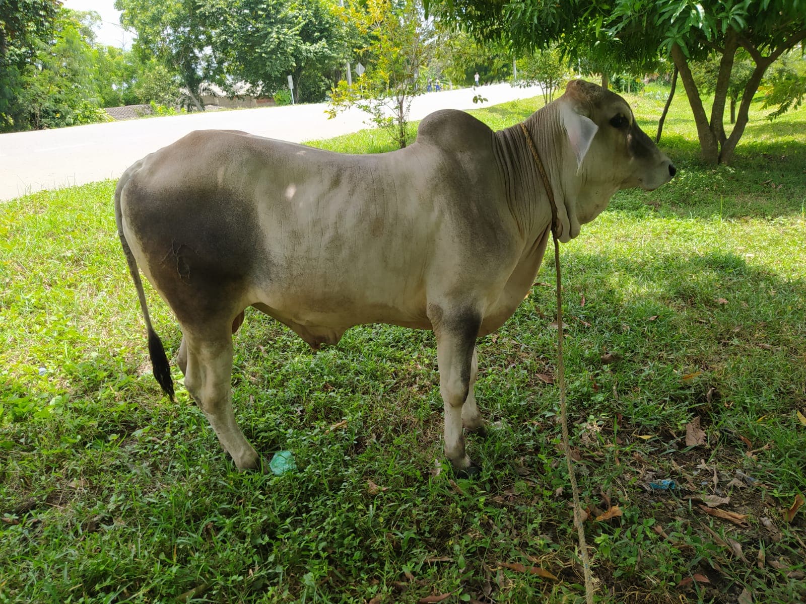 En venta — 1