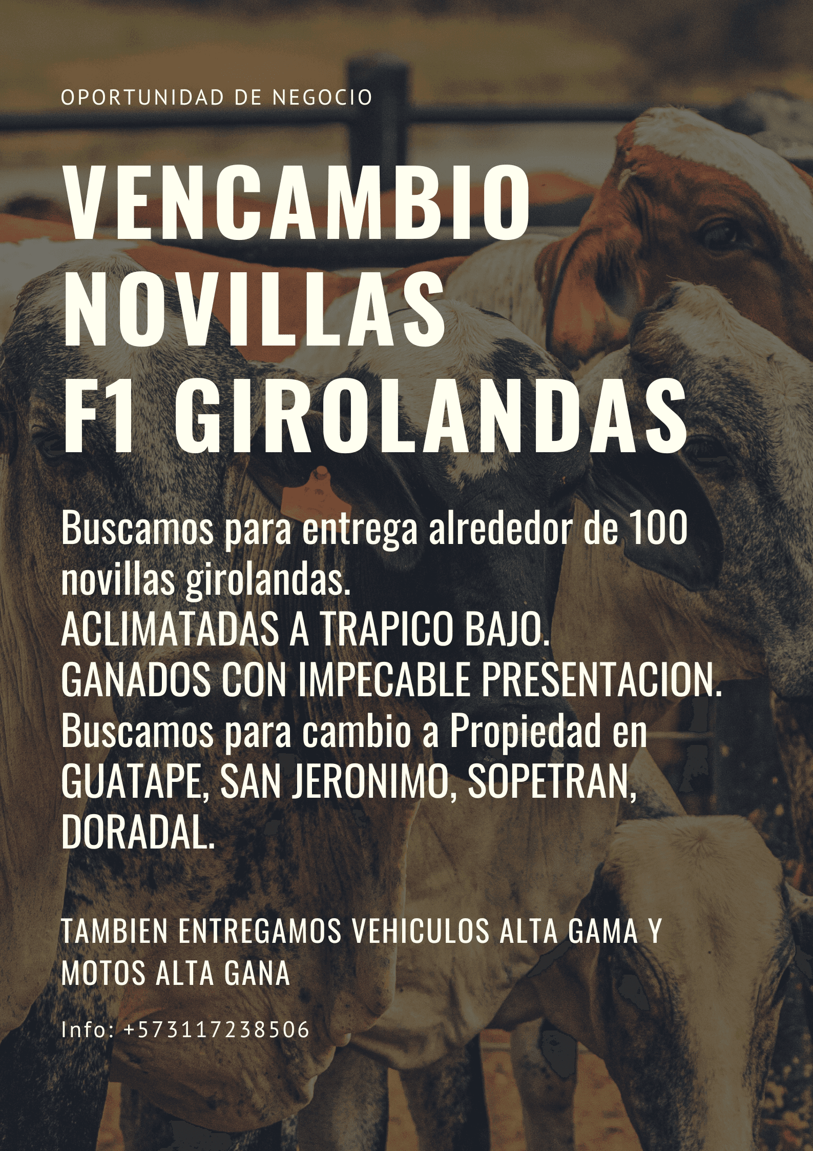 VENCAMBIO NOVILLAS A PROPIEDAD. Estamos en la búsqueda de una propiedad en GUATAPE, DORADAL, SAN JERONIMO, SOPETRAN O PROPIEDAD DE NUESTRO GUSTO. DONDE NOS RECIBAN UNAS 100 NOVILLA