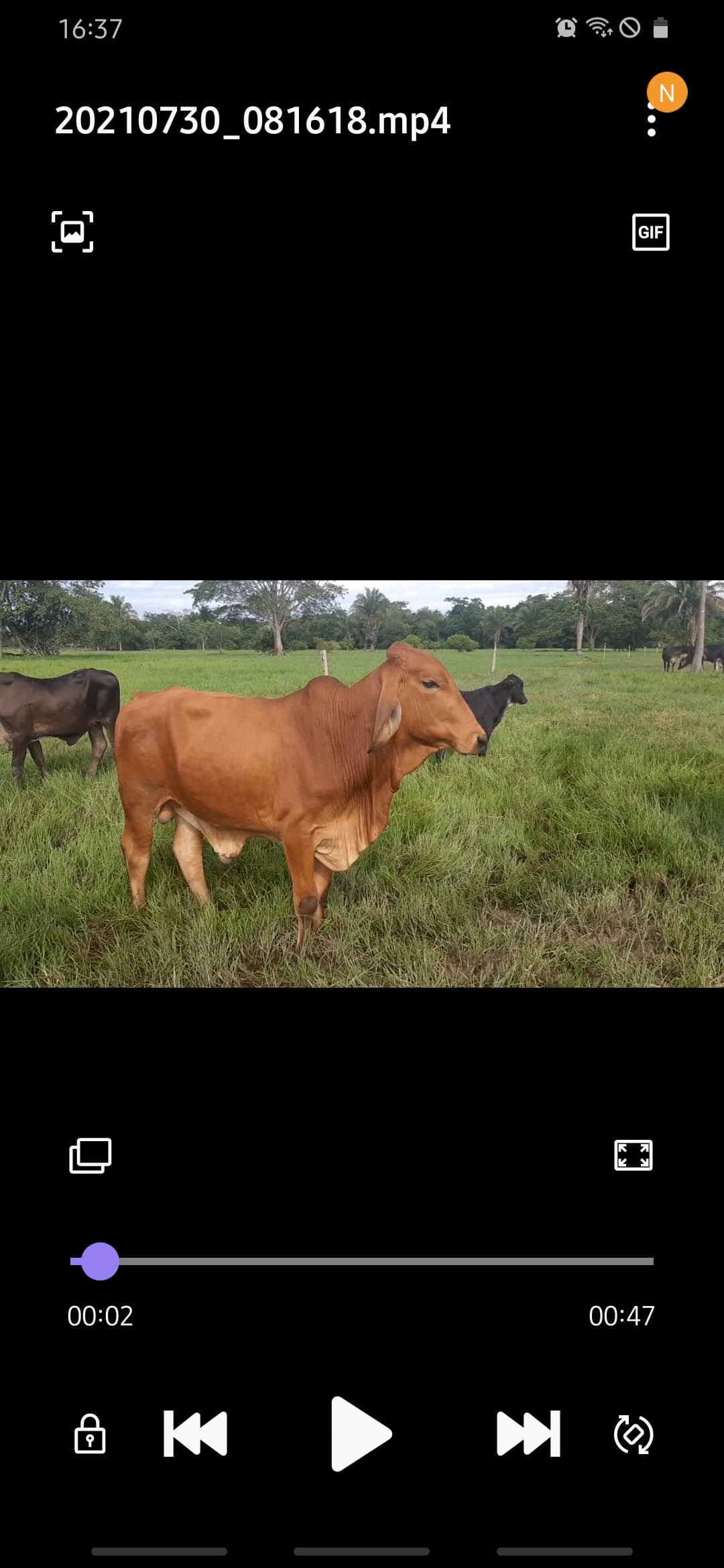 Toro teatroxunico