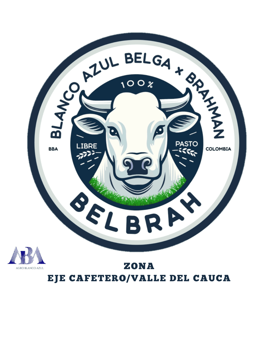 Venta de Genética Blanco Azul